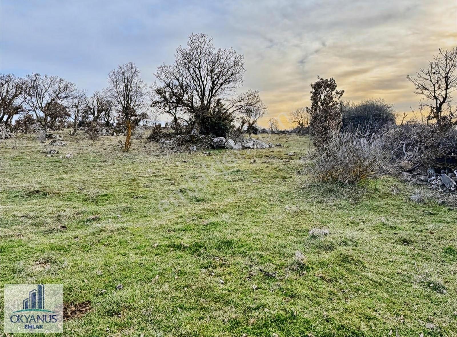 Karahüseyinli De 11.250 M2 Tarla , Yolu Var , Köye Yakın - Görsel 31