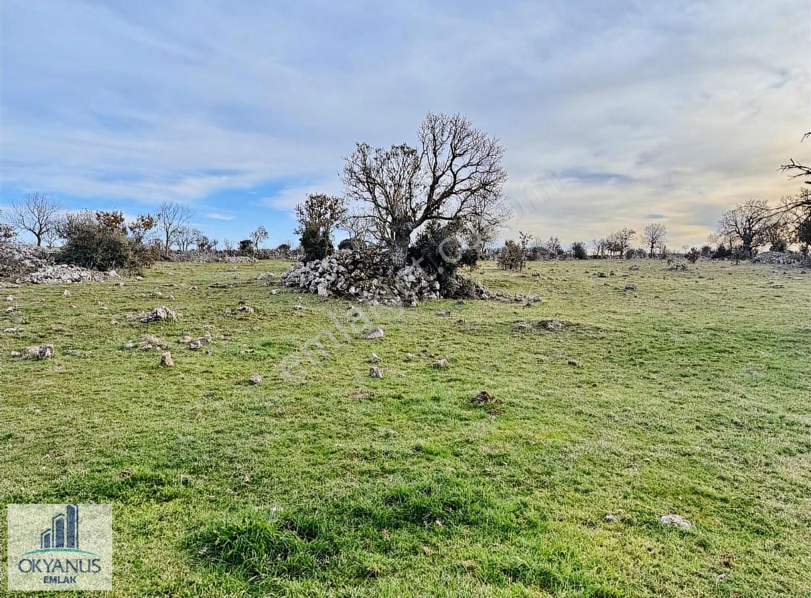 Karahüseyinli De 11.250 M2 Tarla , Yolu Var , Köye Yakın - Görsel 3