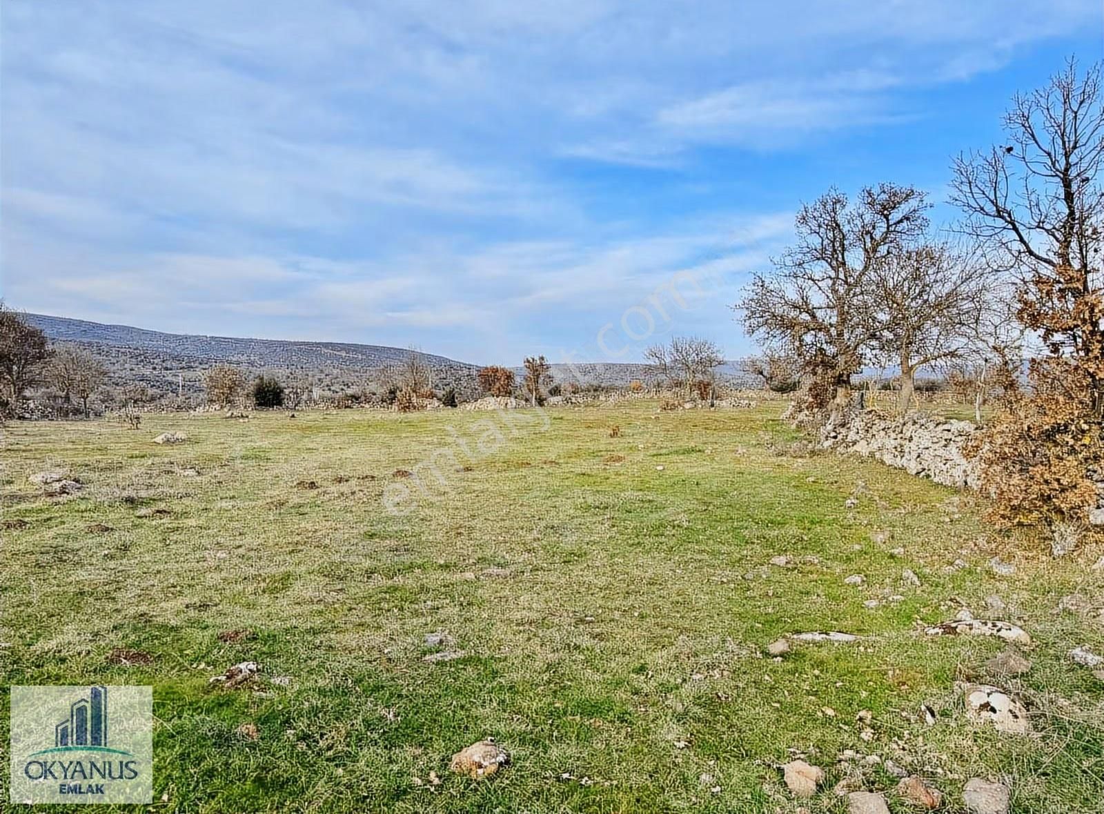 Karahüseyinli De 11.250 M2 Tarla , Yolu Var , Köye Yakın - Görsel 10