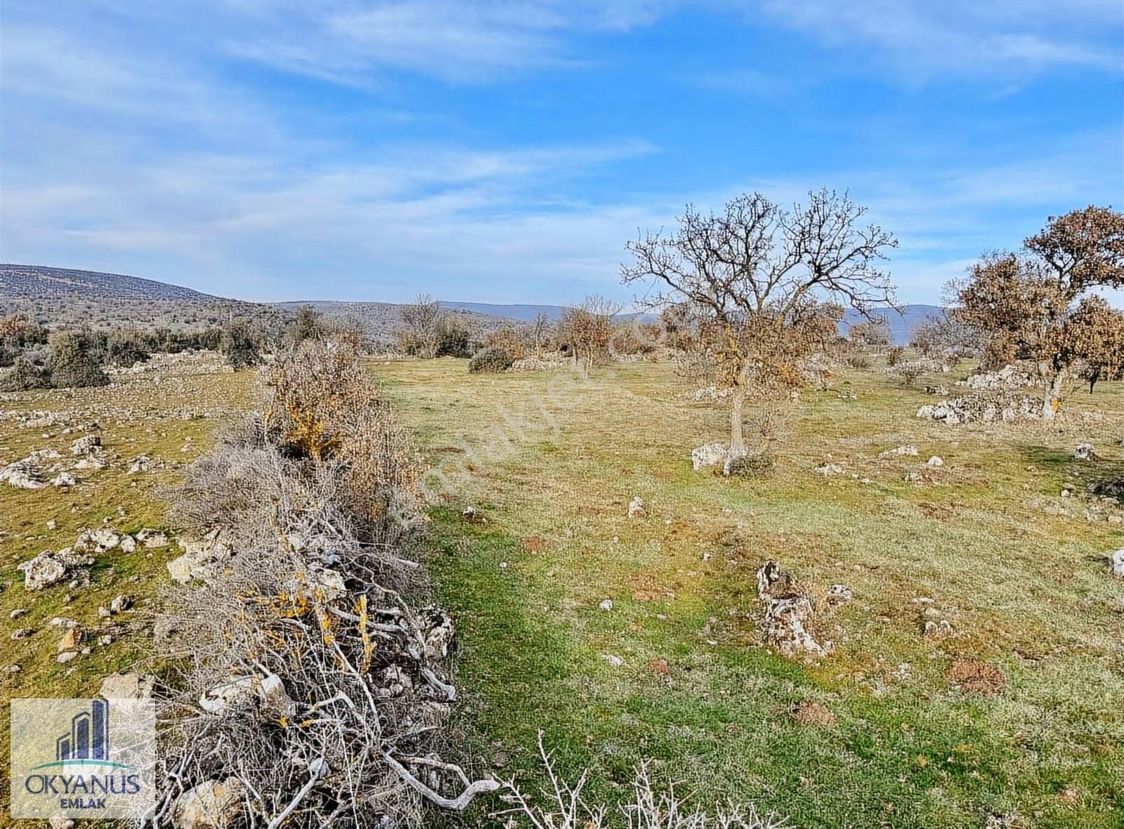 Karahüseyinli De 11.250 M2 Tarla , Yolu Var , Köye Yakın - Görsel 18