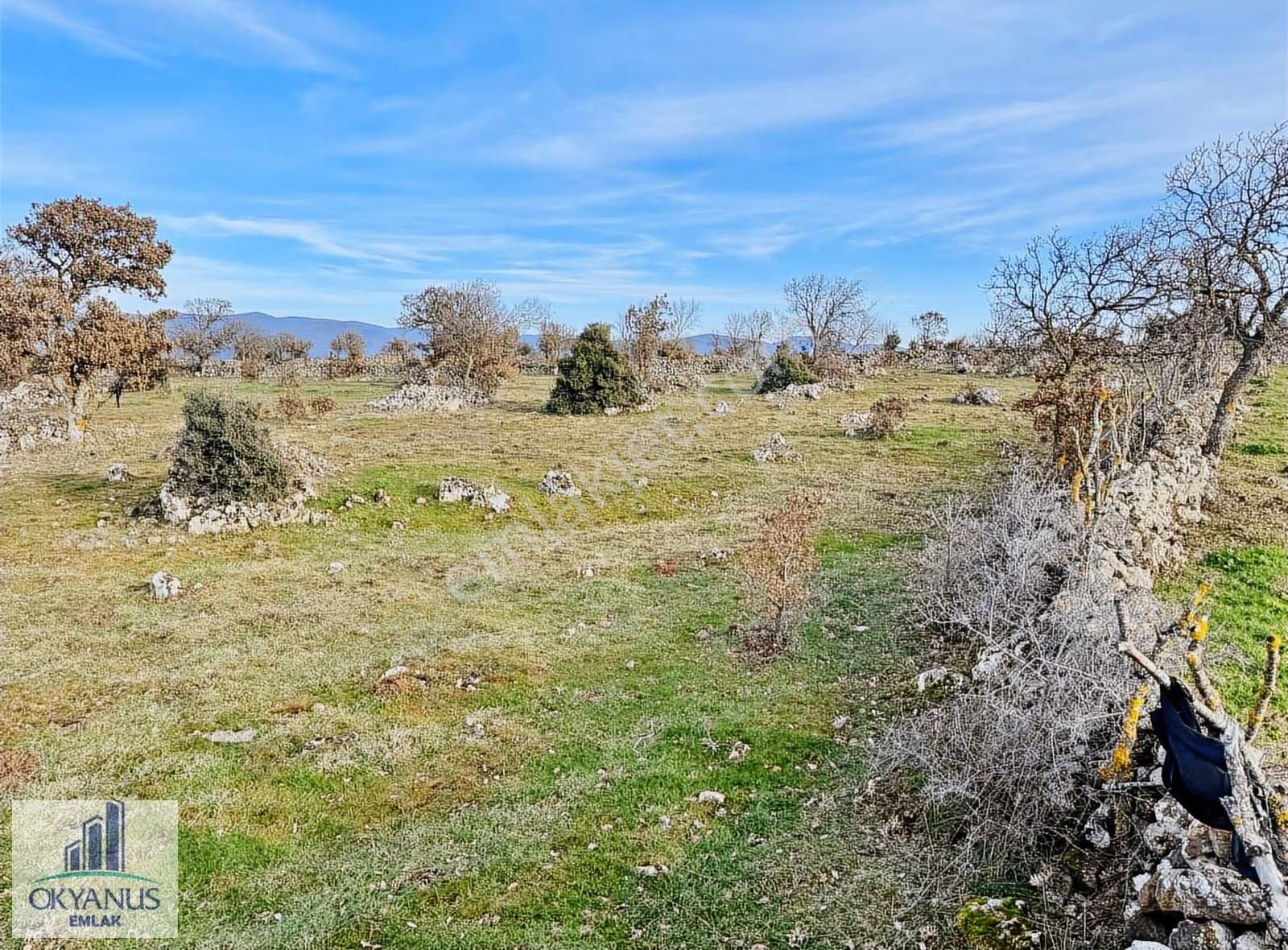 Karahüseyinli De 11.250 M2 Tarla , Yolu Var , Köye Yakın - Görsel 21