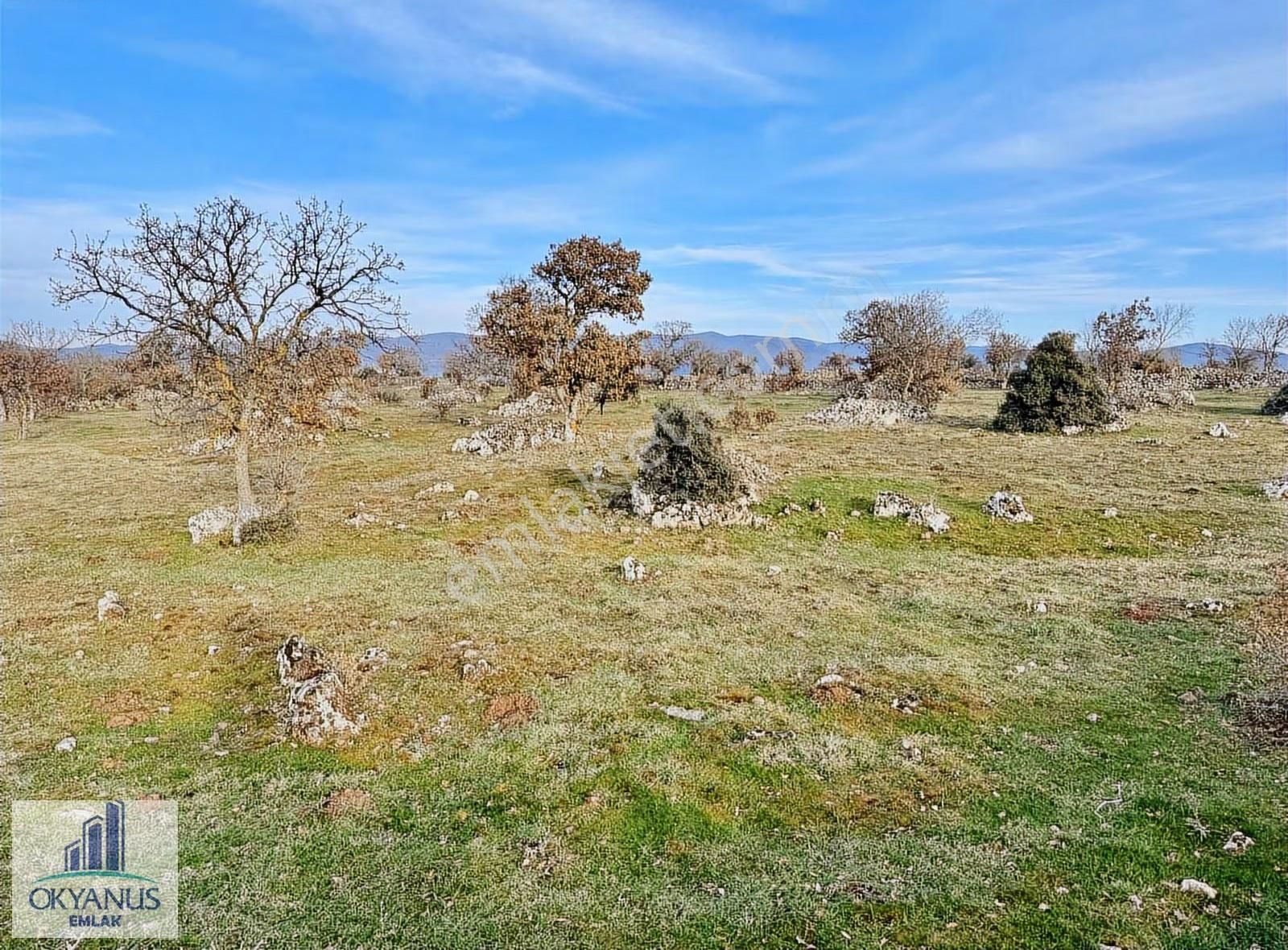 Karahüseyinli De 11.250 M2 Tarla , Yolu Var , Köye Yakın - Görsel 17