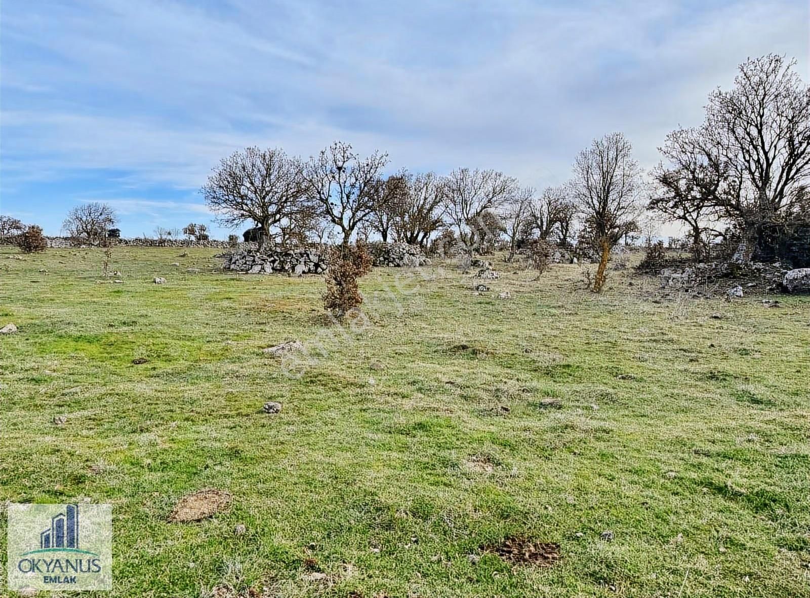 Karahüseyinli De 11.250 M2 Tarla , Yolu Var , Köye Yakın - Görsel 25