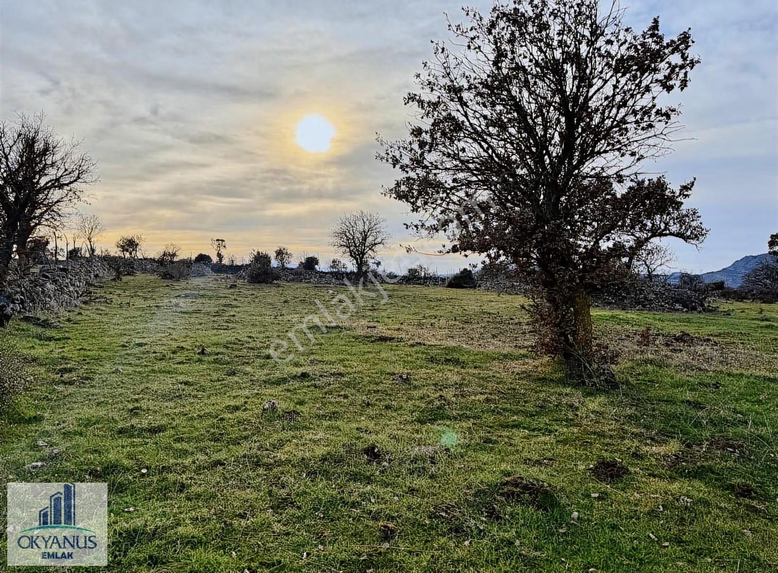 Karahüseyinli De 11.250 M2 Tarla , Yolu Var , Köye Yakın - Görsel 7