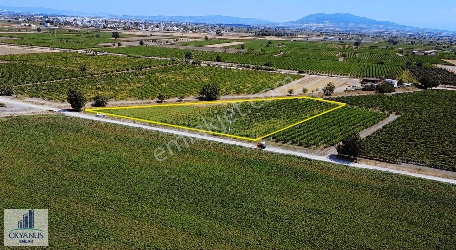 Yılmaz Da 5.950 M2 Bağ, 85 Mt Yola Cepheli, Elektk-su Var - Görsel 3