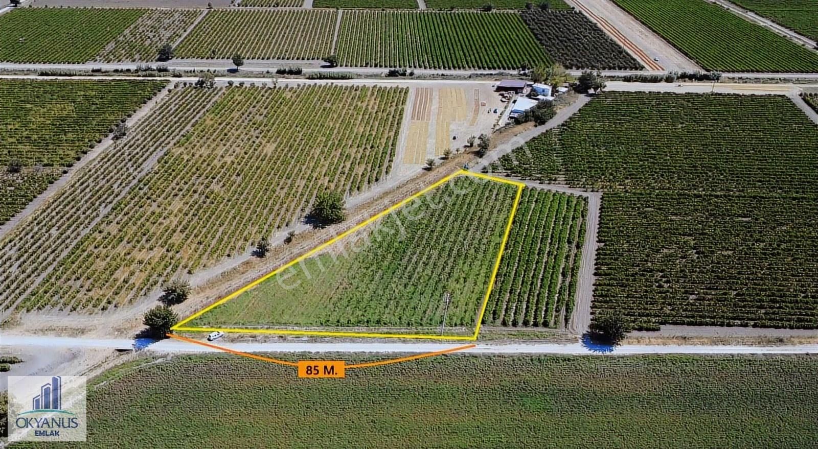 Yılmaz Da 5.950 M2 Bağ, 85 Mt Yola Cepheli, Elektk-su Var - Görsel 6