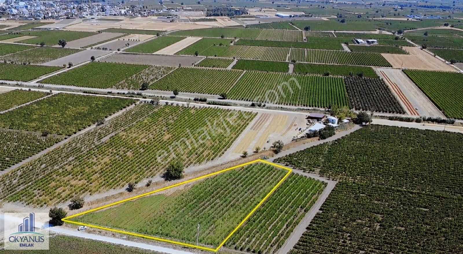 Yılmaz Da 5.950 M2 Bağ, 85 Mt Yola Cepheli, Elektk-su Var - Görsel 4