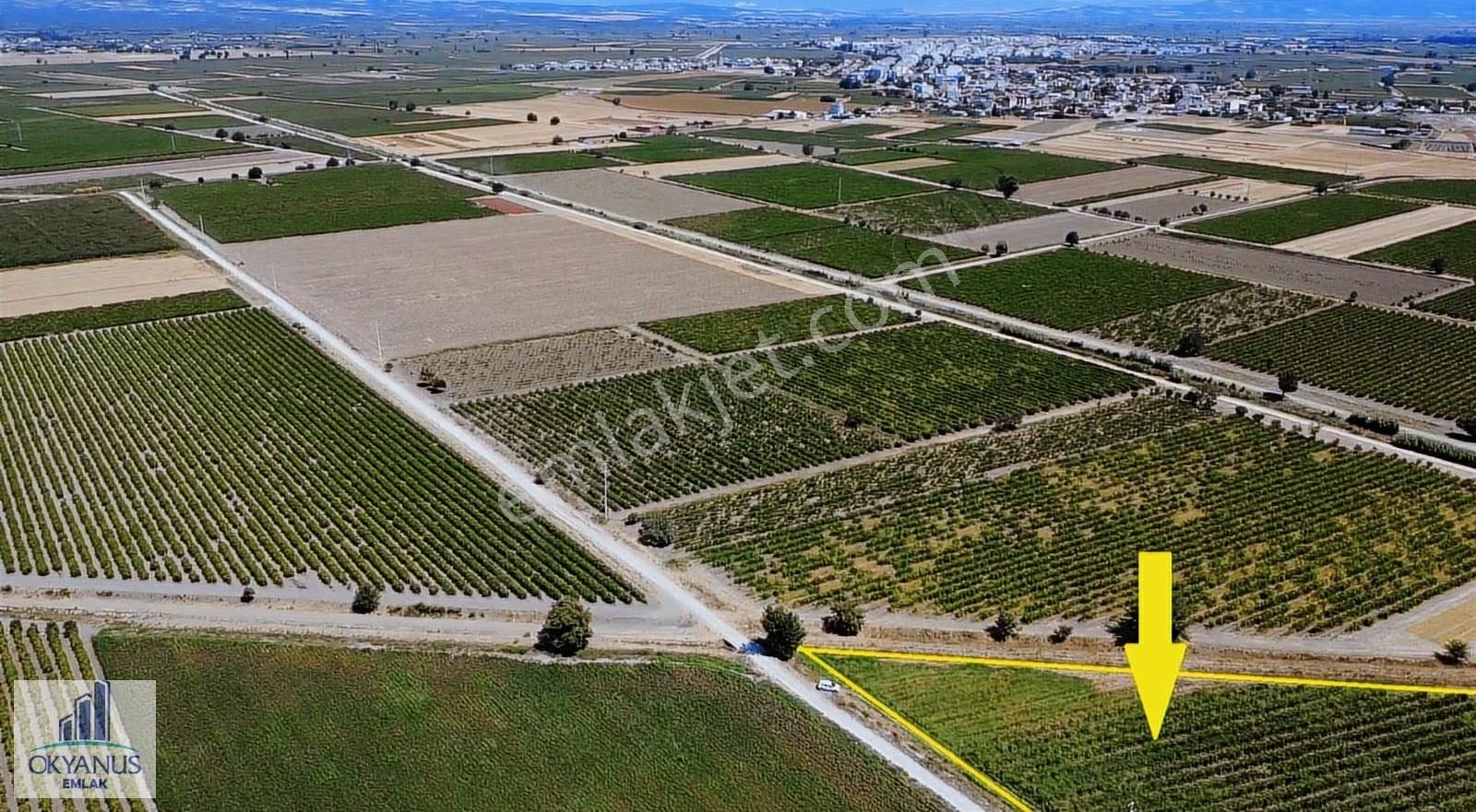 Yılmaz Da 5.950 M2 Bağ, 85 Mt Yola Cepheli, Elektk-su Var - Görsel 5