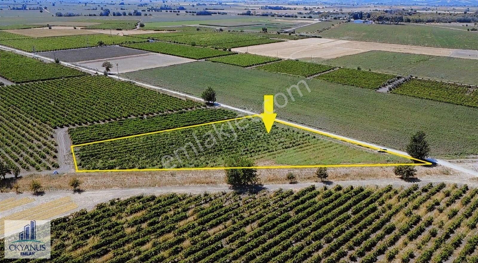 Yılmaz Da 5.950 M2 Bağ, 85 Mt Yola Cepheli, Elektk-su Var - Görsel 2