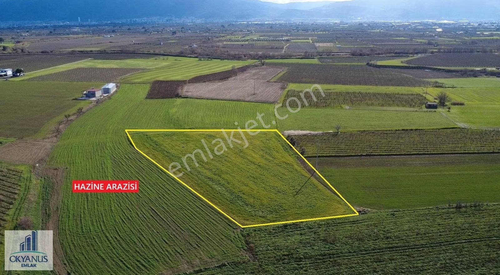 Küme Evlerinde 12.950 M2 Tarla ,elektrik Su Var, Gedize Yakın