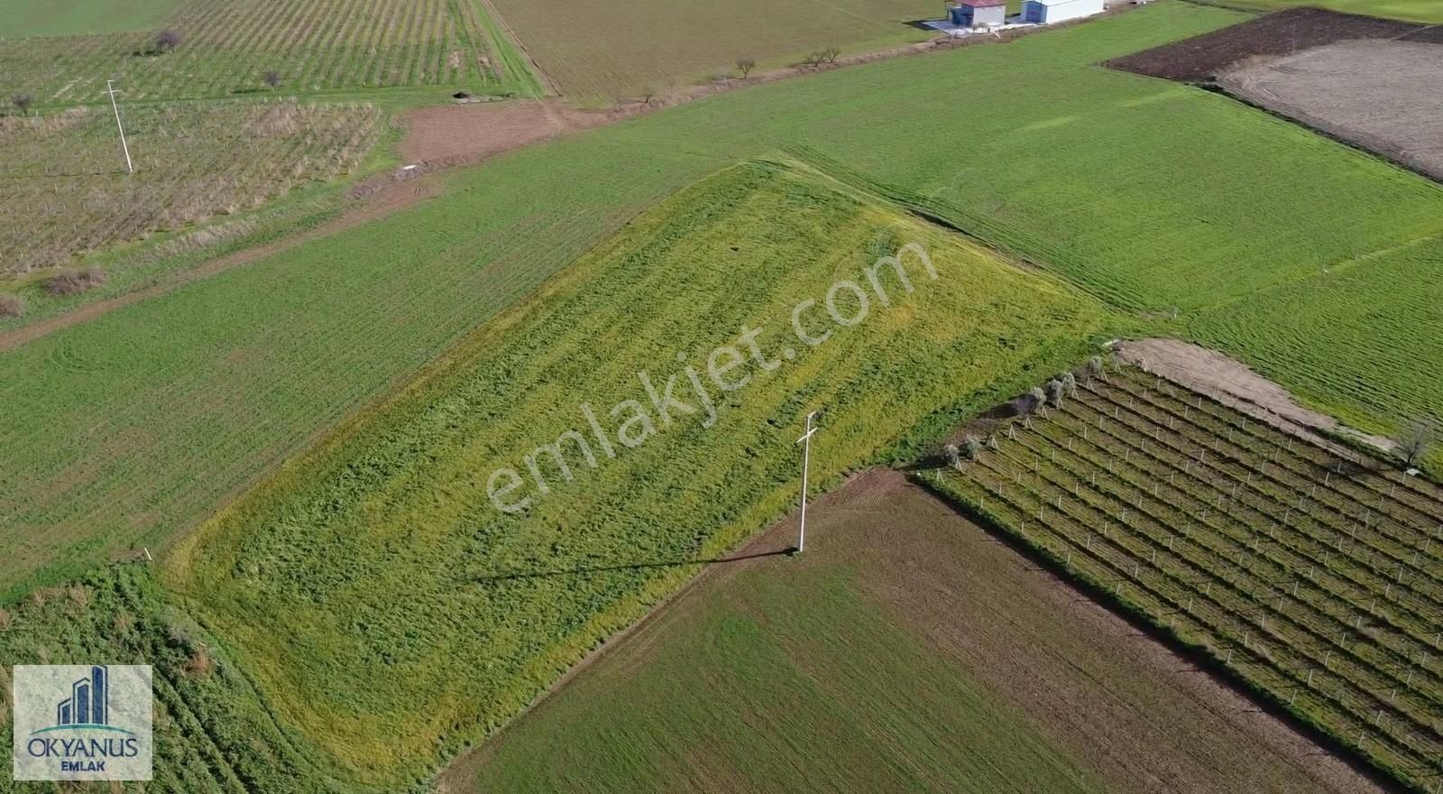 Küme Evlerinde 12.950 M2 Tarla ,elektrik Su Var, Gedize Yakın - Görsel 30