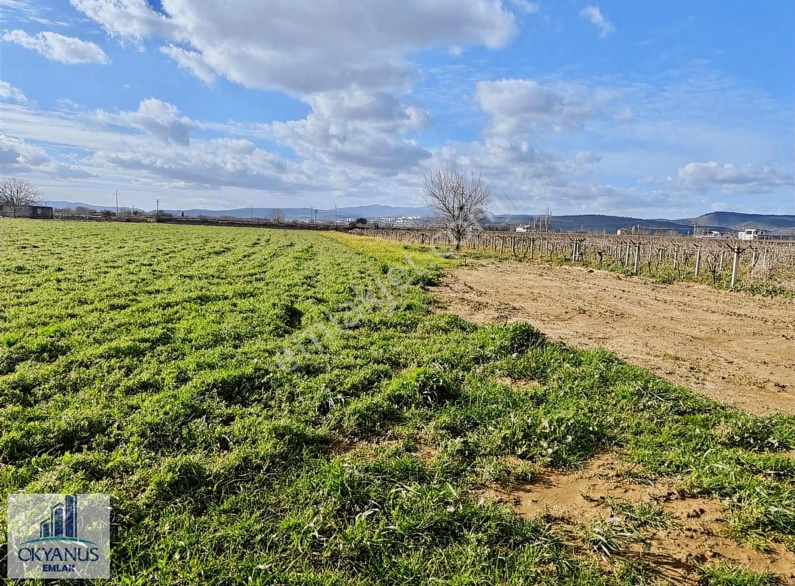 Küme Evlerinde 12.950 M2 Tarla ,elektrik Su Var, Gedize Yakın - Görsel 10