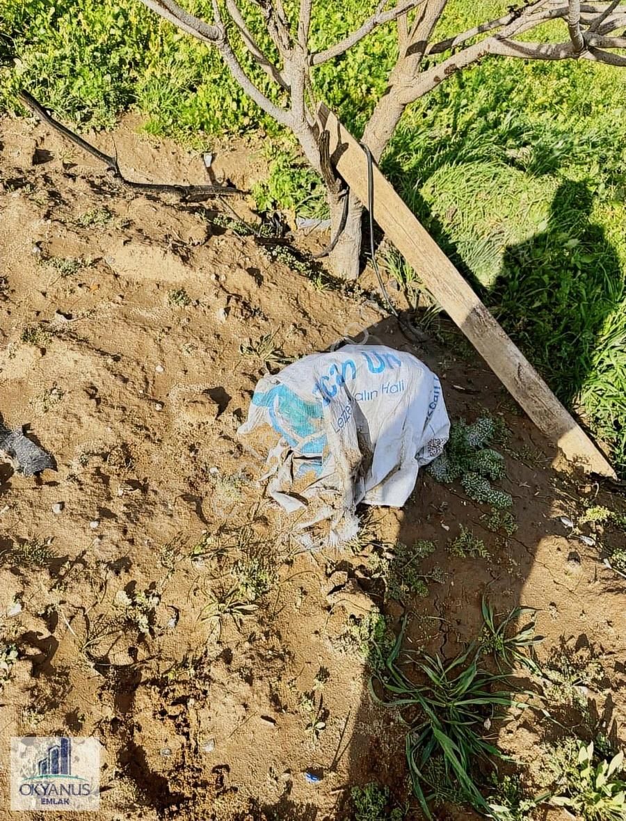Küme Evlerinde 12.950 M2 Tarla ,elektrik Su Var, Gedize Yakın - Görsel 22