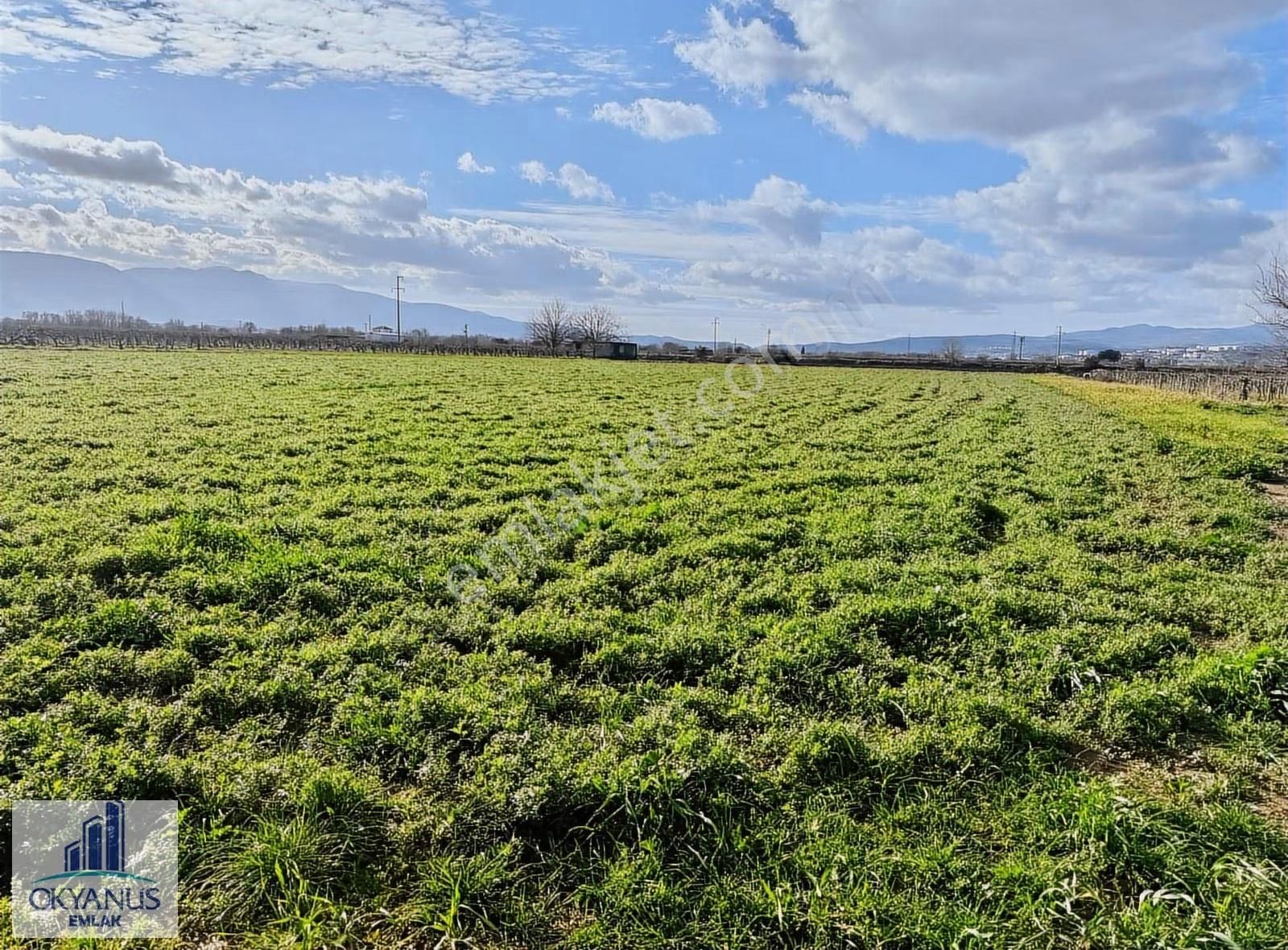 Küme Evlerinde 12.950 M2 Tarla ,elektrik Su Var, Gedize Yakın - Görsel 14