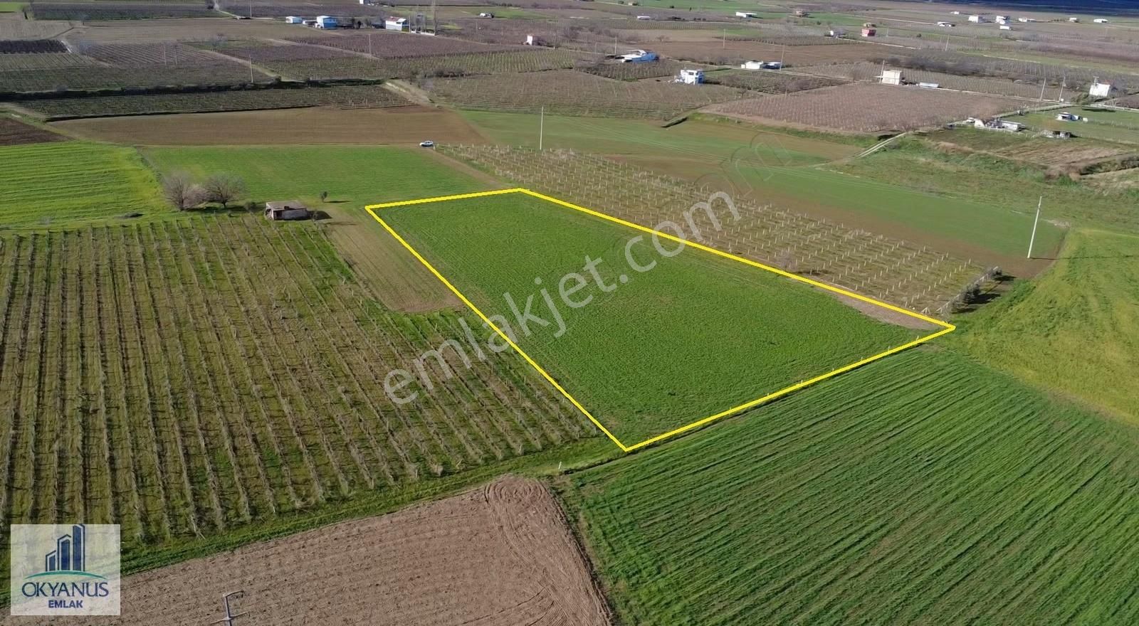 Küme Evlerinde 12.950 M2 Tarla ,elektrik Su Var, Gedize Yakın - Görsel 7