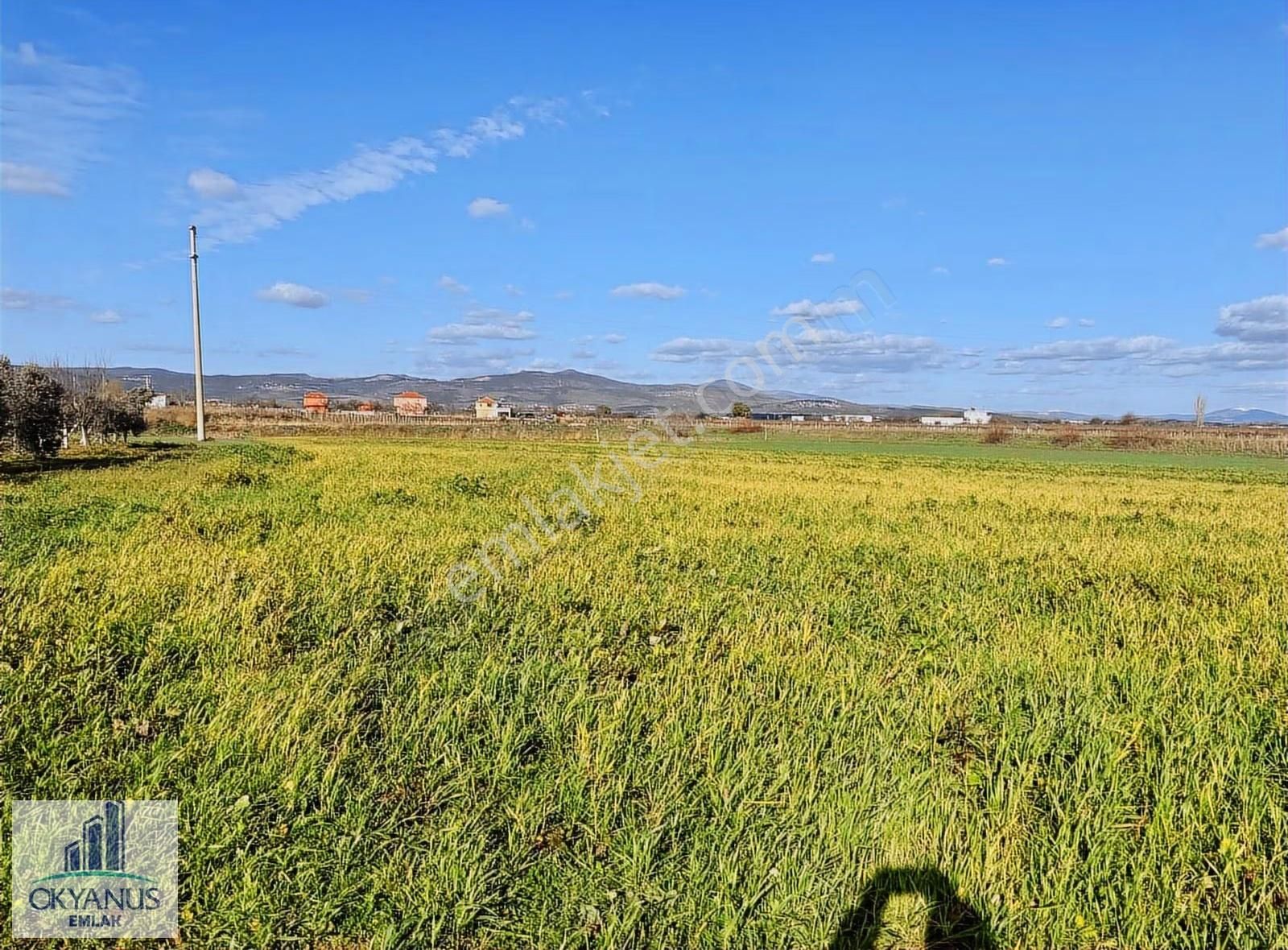 Küme Evlerinde 12.950 M2 Tarla ,elektrik Su Var, Gedize Yakın - Görsel 27