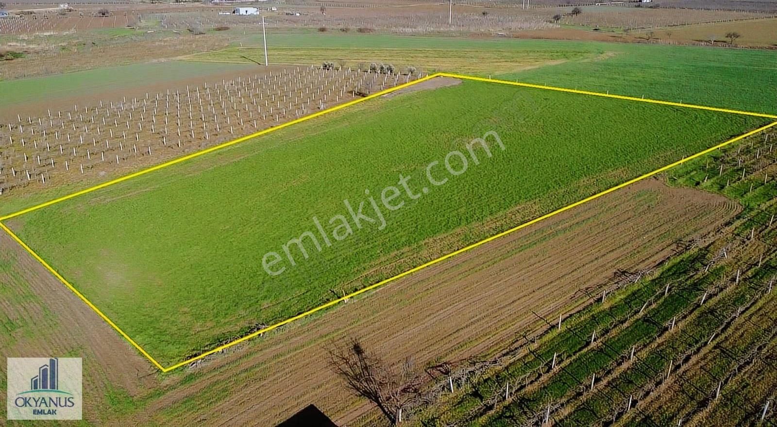 Küme Evlerinde 12.950 M2 Tarla ,elektrik Su Var, Gedize Yakın - Görsel 18