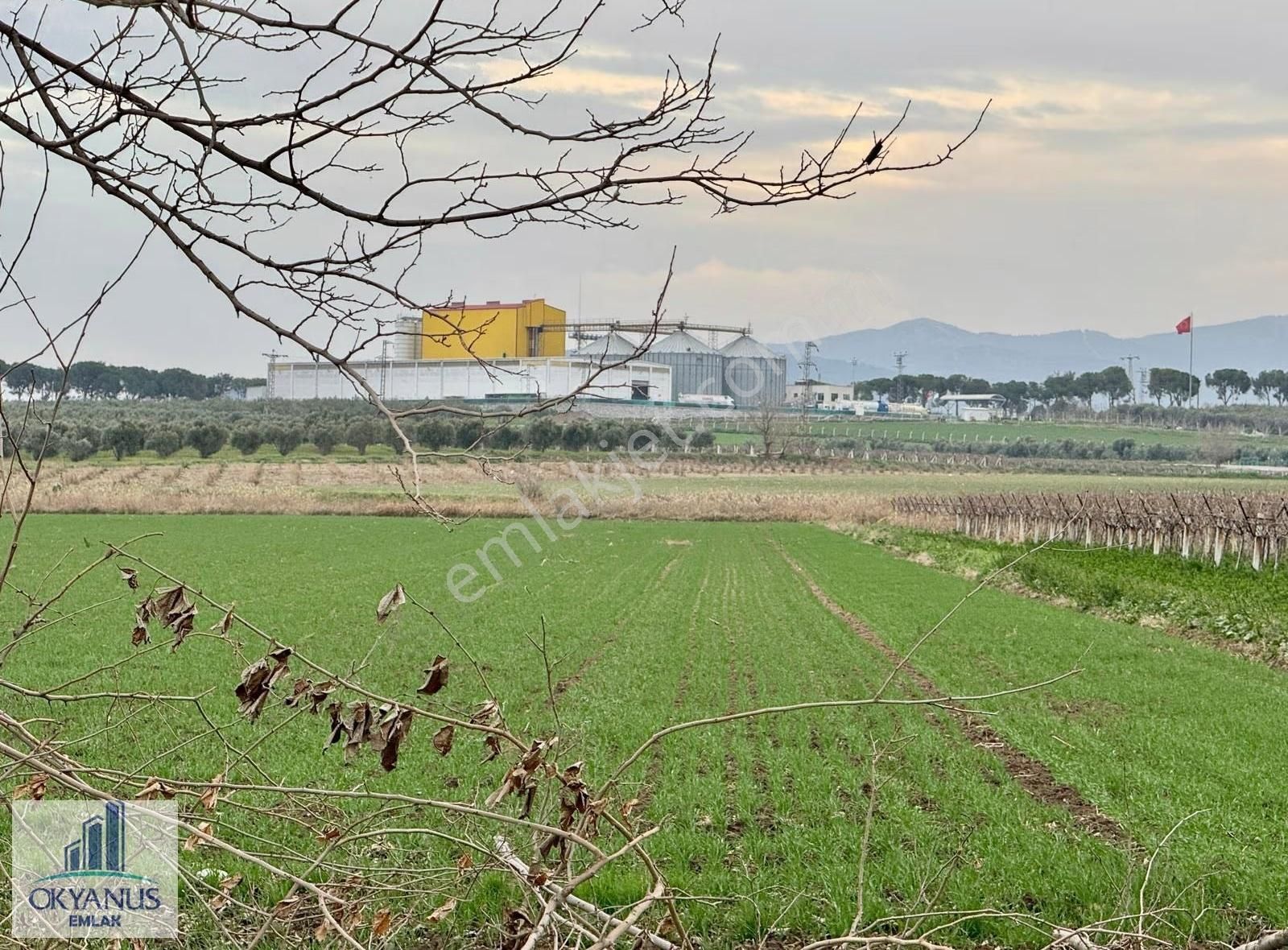 18.000 M2 , Köye 400 Mt Uzaklıkta , 70 Mt Asfalta Cepheli - Görsel 7