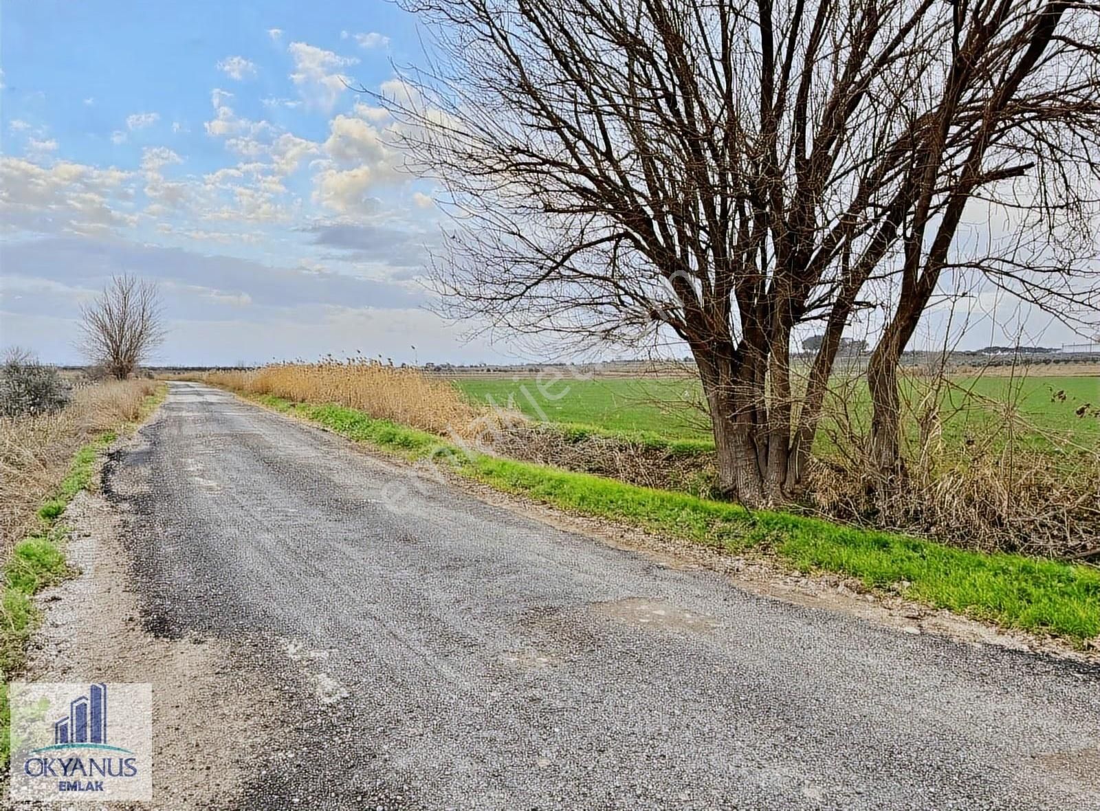 18.000 M2 , Köye 400 Mt Uzaklıkta , 70 Mt Asfalta Cepheli - Görsel 16