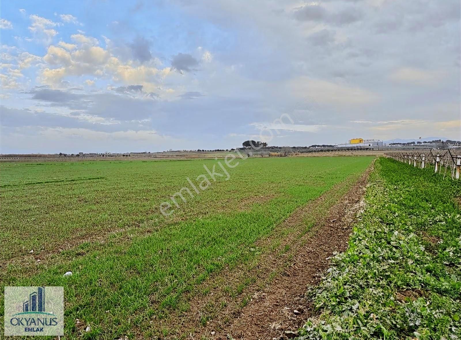 18.000 M2 , Köye 400 Mt Uzaklıkta , 70 Mt Asfalta Cepheli - Görsel 14