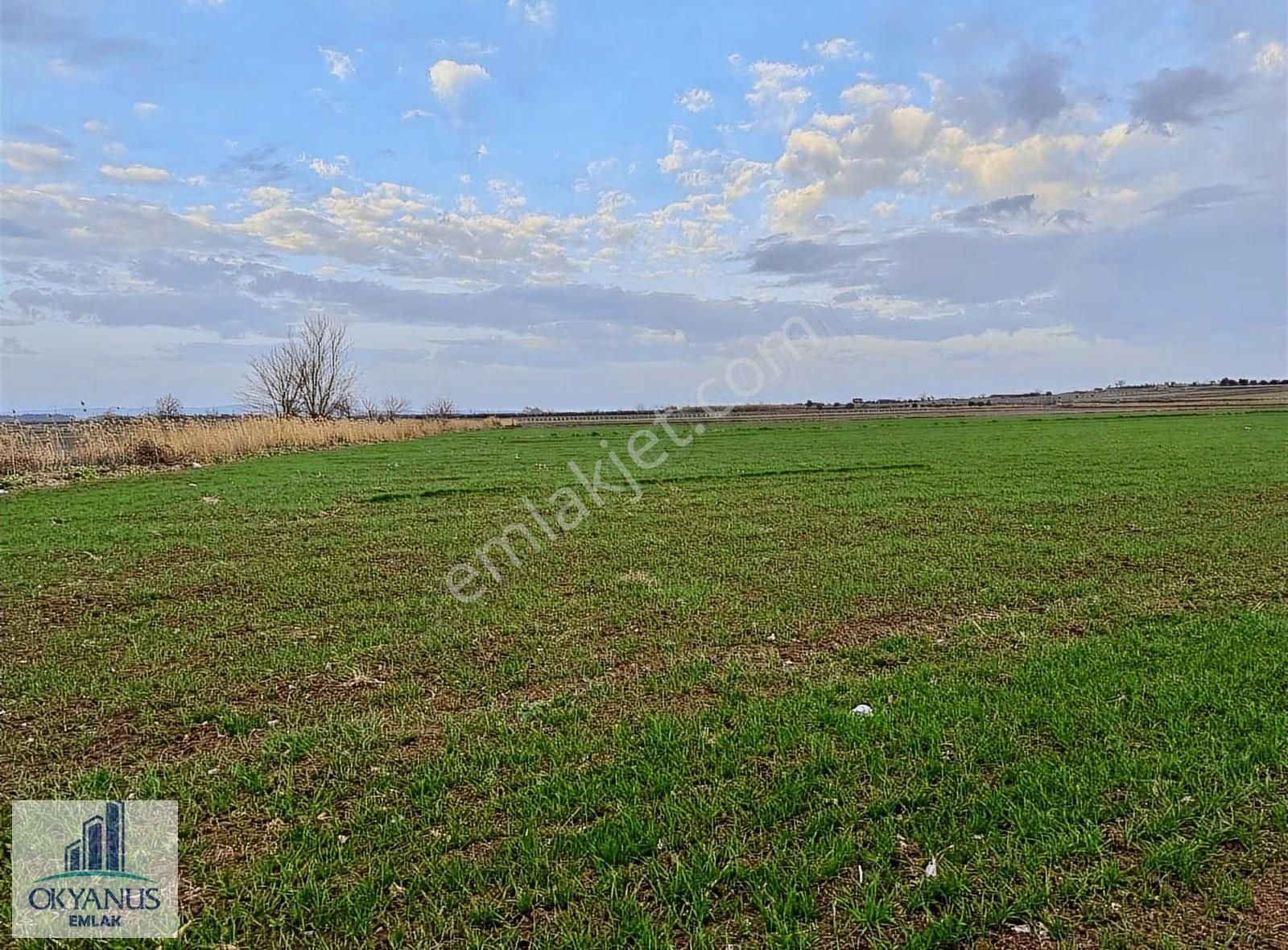 18.000 M2 , Köye 400 Mt Uzaklıkta , 70 Mt Asfalta Cepheli - Görsel 12