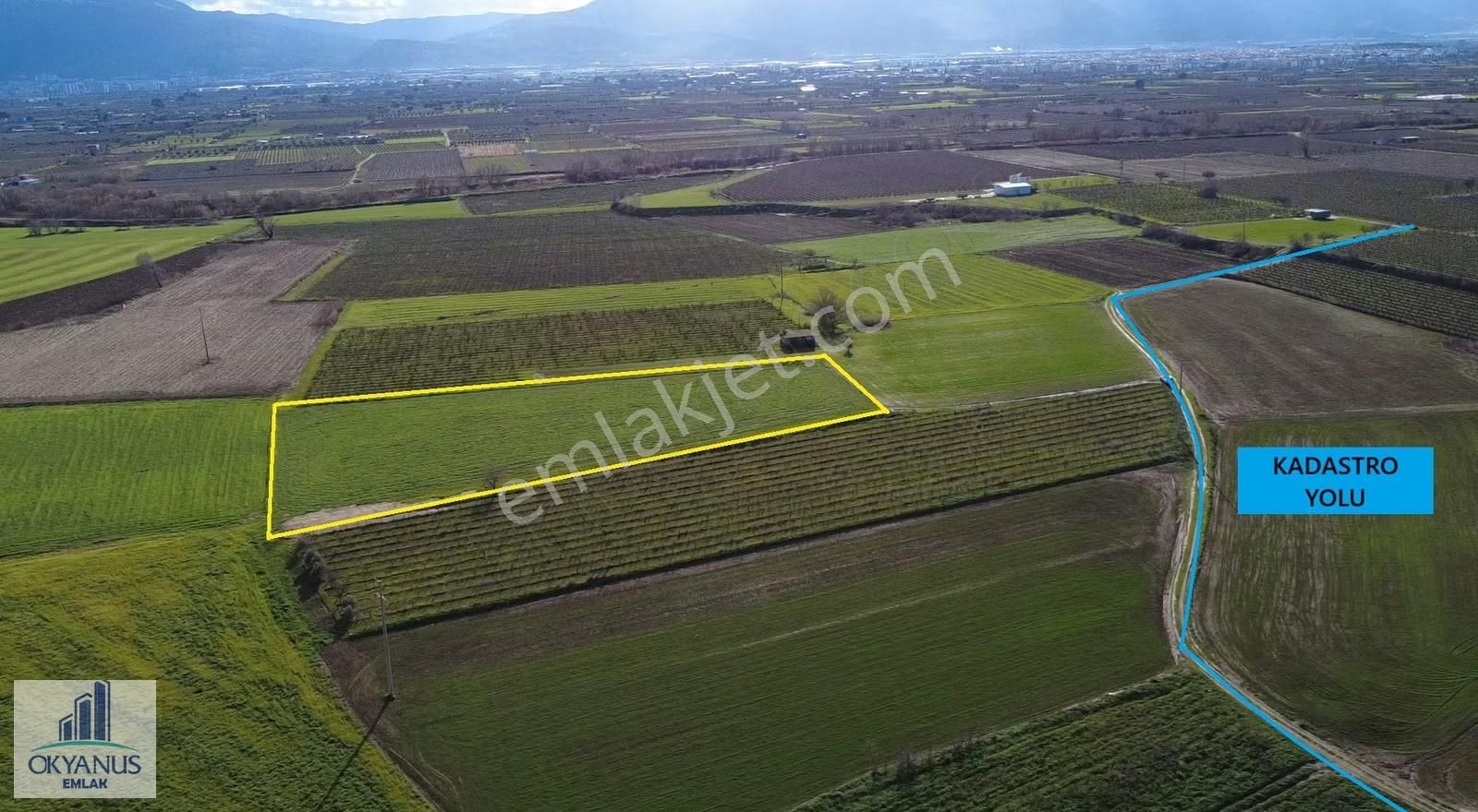 Üçpınar Küme Evlerinde 6.090 M2 Tarla, Elektrik Suyu Var