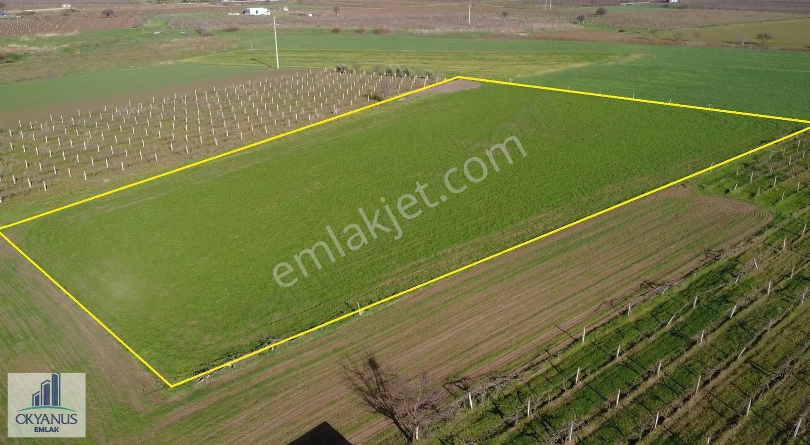 Üçpınar Küme Evlerinde 6.090 M2 Tarla, Elektrik Suyu Var - Görsel 4