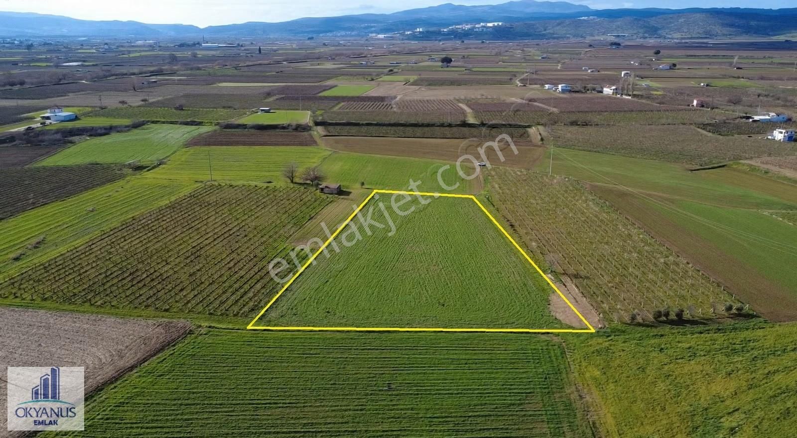 Üçpınar Küme Evlerinde 6.090 M2 Tarla, Elektrik Suyu Var - Görsel 3