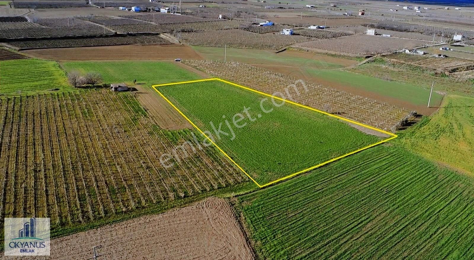 Üçpınar Küme Evlerinde 6.090 M2 Tarla, Elektrik Suyu Var - Görsel 6