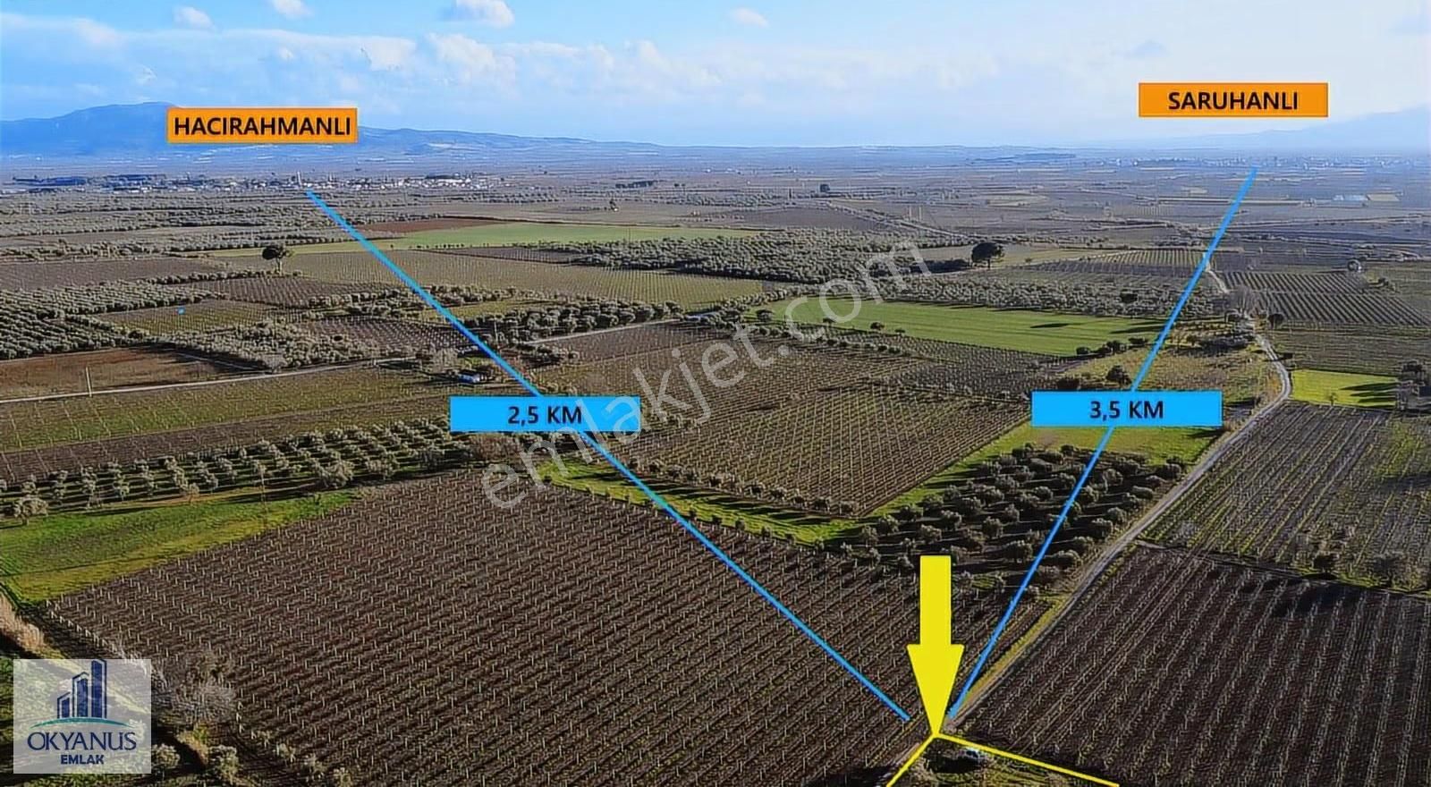 Saruhanlı Da 20.000 M2 Zeytinlik, R. Yola Sıfır , 270 Adet Ağaç - Görsel 15