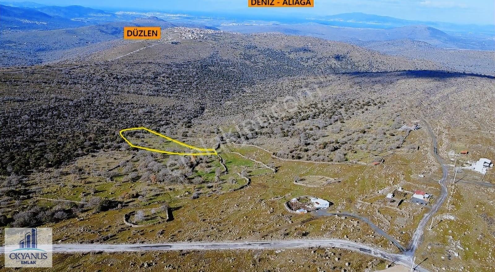 Dazyurt Da 11.000 M2 Tarla, Tek Tapu, Köye 450 Mt Uzaklıkta - Görsel 2