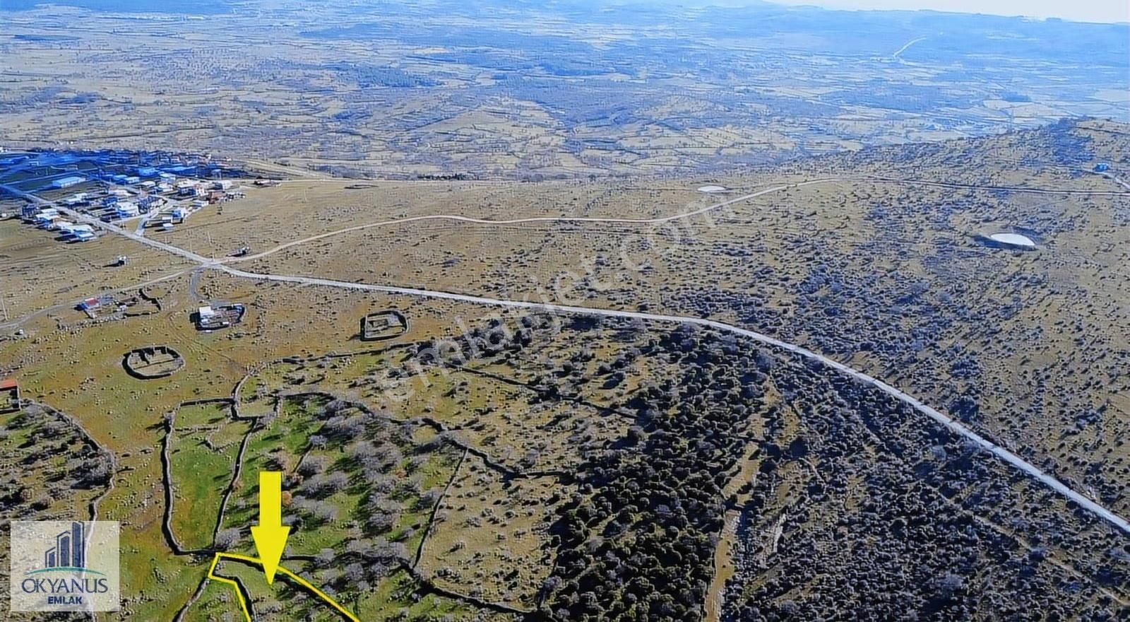 Dazyurt Da 11.000 M2 Tarla, Tek Tapu, Köye 450 Mt Uzaklıkta