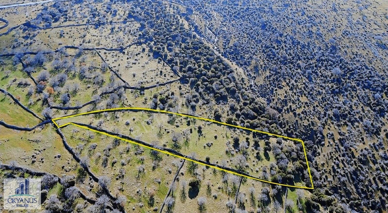 Dazyurt Da 11.000 M2 Tarla, Tek Tapu, Köye 450 Mt Uzaklıkta - Görsel 3