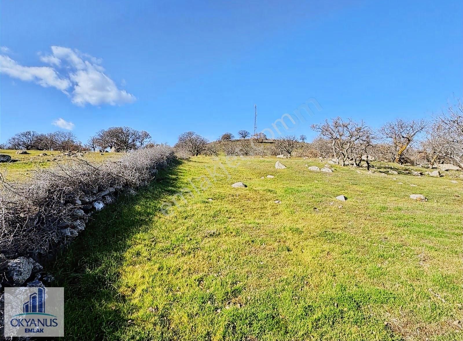 Durasıllı-dazyurt Asfaltına Sıfır , 28.700 M2 Tek Tapu - Görsel 10