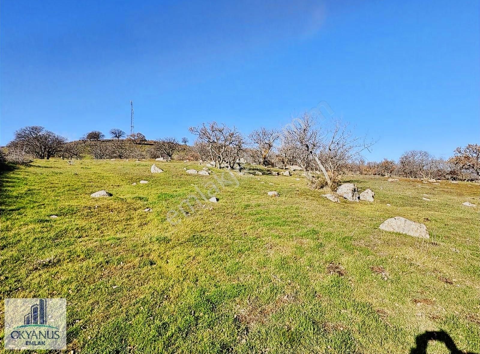 Durasıllı-dazyurt Asfaltına Sıfır , 28.700 M2 Tek Tapu - Görsel 7