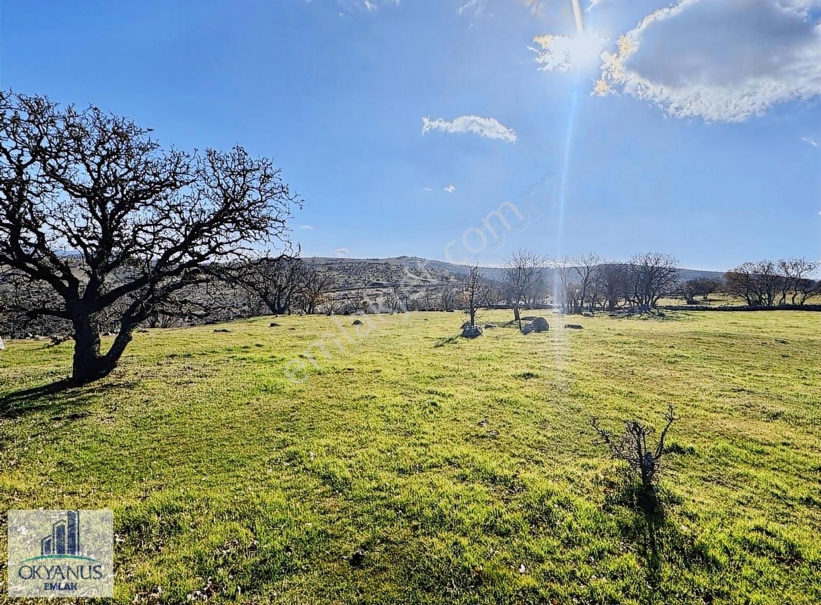 Durasıllı-dazyurt Asfaltına Sıfır , 28.700 M2 Tek Tapu - Görsel 13