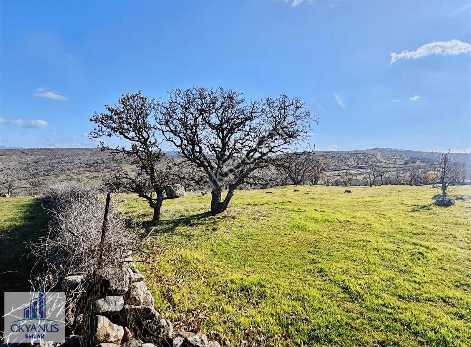 Durasıllı-dazyurt Asfaltına Sıfır , 28.700 M2 Tek Tapu - Görsel 4