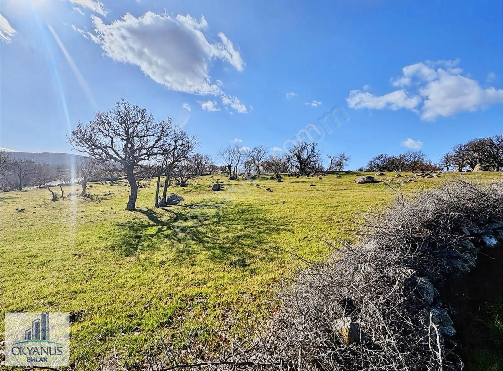 Durasıllı-dazyurt Asfaltına Sıfır , 28.700 M2 Tek Tapu - Görsel 9