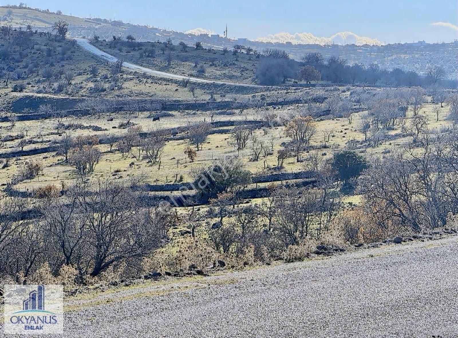 Durasıllı-dazyurt Asfaltına Sıfır , 28.700 M2 Tek Tapu - Görsel 3