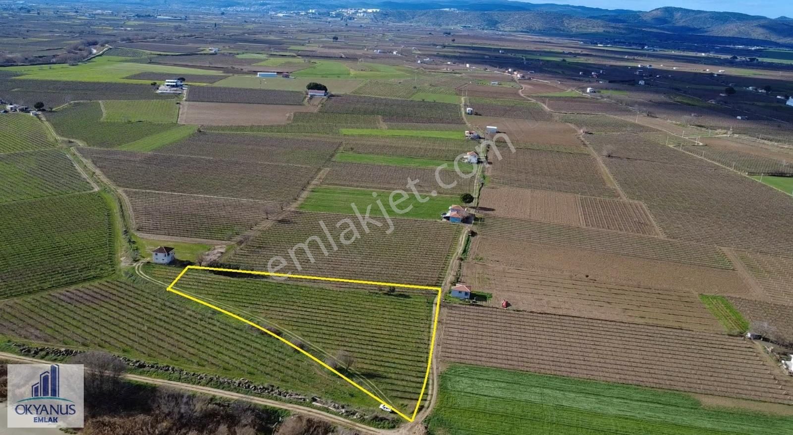 Üçpınarda 5.190 M2 Bağ , Resmi Yola 75 Mt Cepheli - Görsel 21