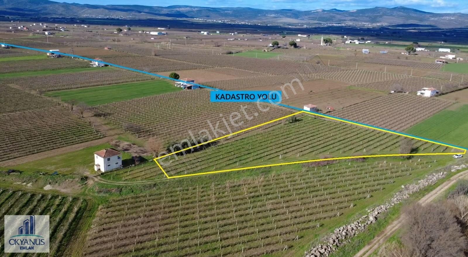 Üçpınarda 5.190 M2 Bağ , Resmi Yola 75 Mt Cepheli - Görsel 13