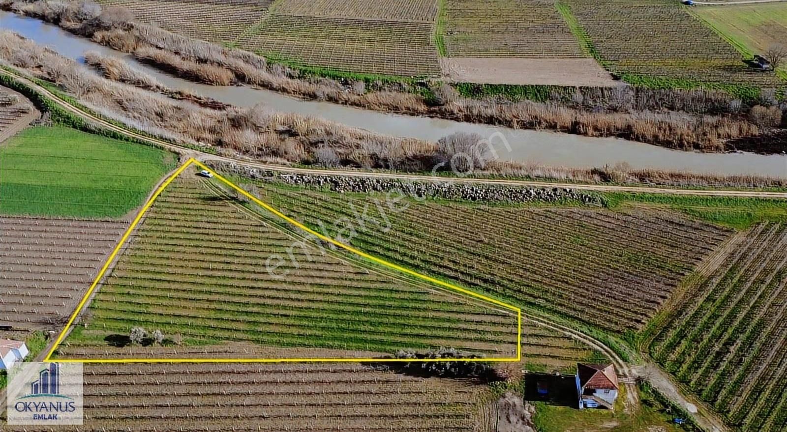 Üçpınarda 5.190 M2 Bağ , Resmi Yola 75 Mt Cepheli - Görsel 17