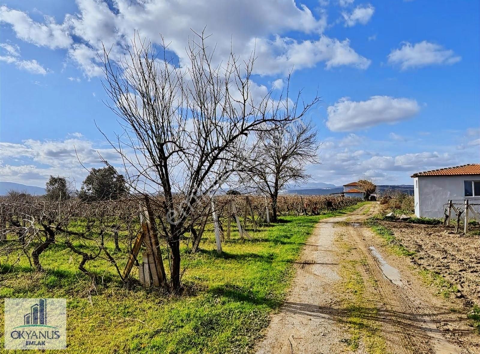 Üçpınarda 5.190 M2 Bağ , Resmi Yola 75 Mt Cepheli - Görsel 7