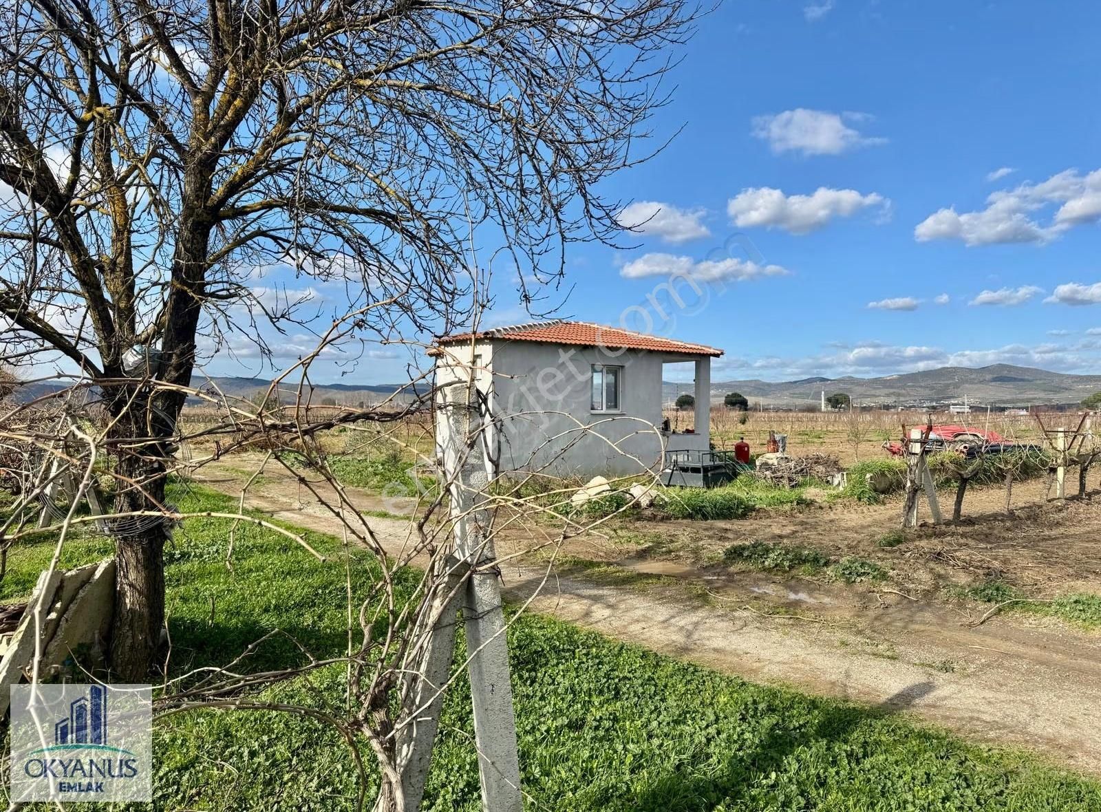 Üçpınarda 5.190 M2 Bağ , Resmi Yola 75 Mt Cepheli - Görsel 23