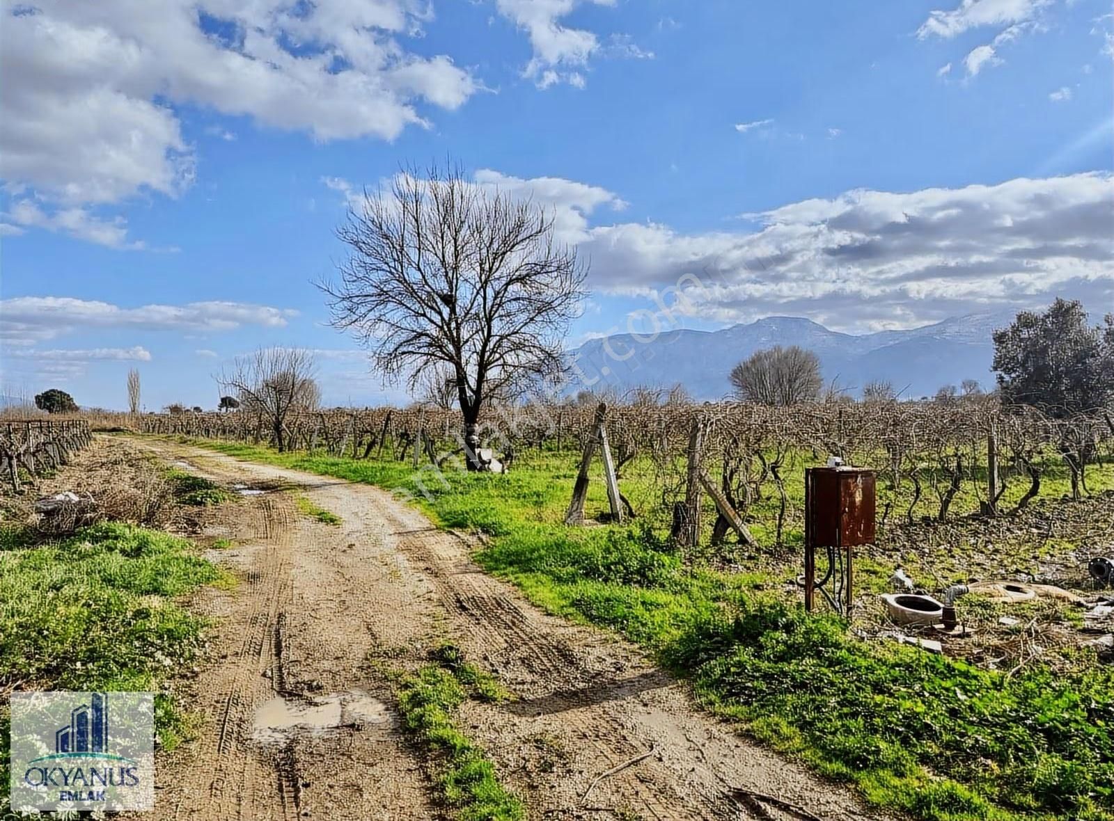 Üçpınarda 5.190 M2 Bağ , Resmi Yola 75 Mt Cepheli - Görsel 5