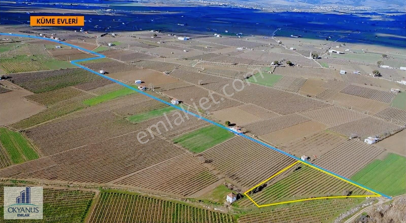 Üçpınarda 5.190 M2 Bağ , Resmi Yola 75 Mt Cepheli - Görsel 16