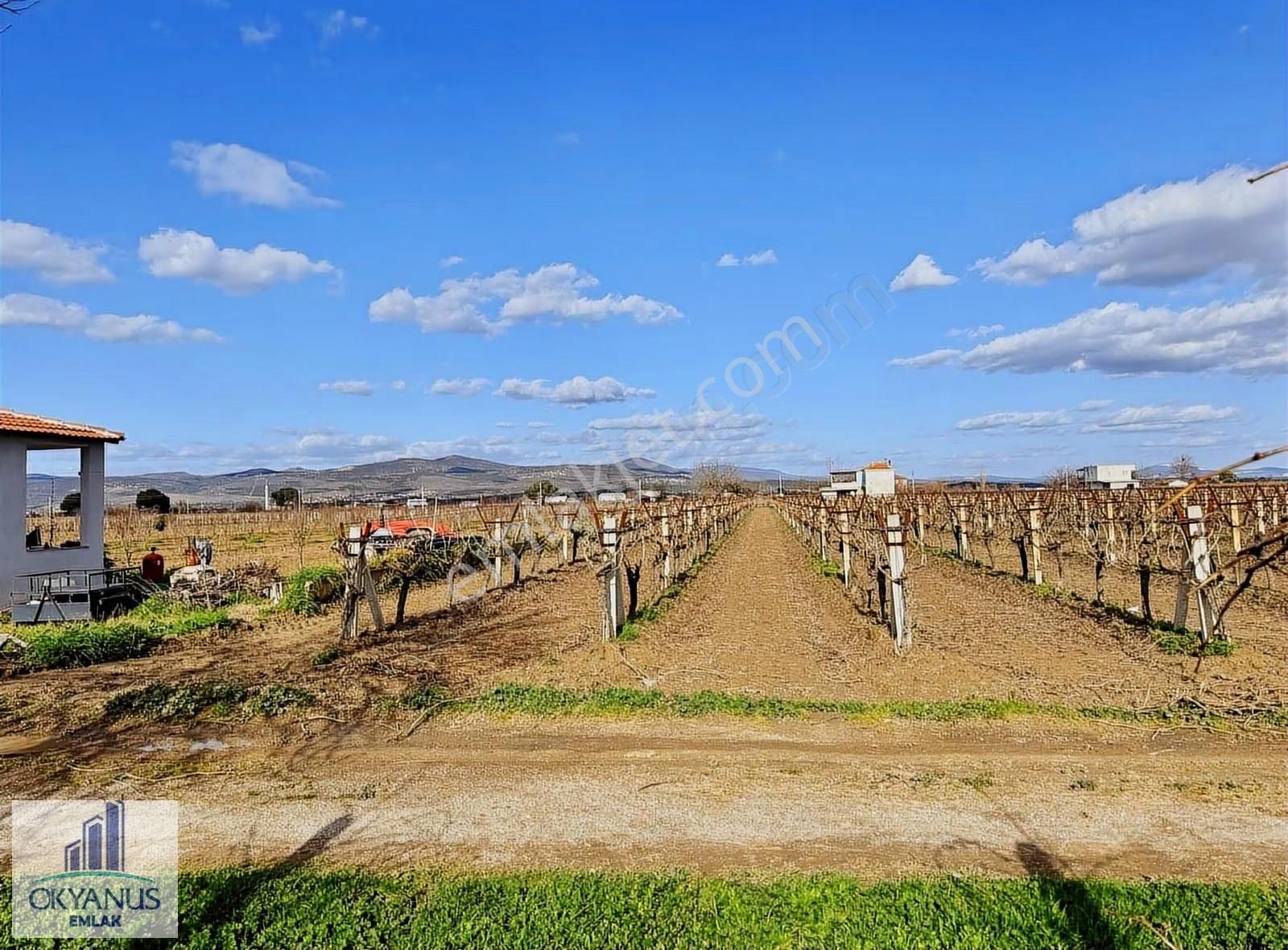 Üçpınarda 5.190 M2 Bağ , Resmi Yola 75 Mt Cepheli - Görsel 2
