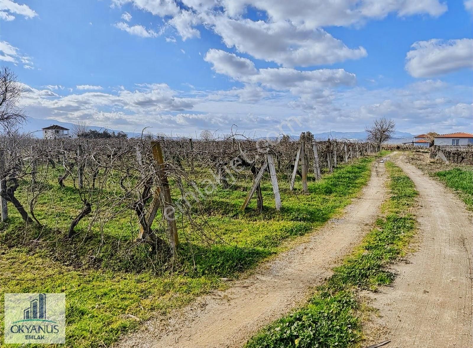 Üçpınarda 5.190 M2 Bağ , Resmi Yola 75 Mt Cepheli - Görsel 12