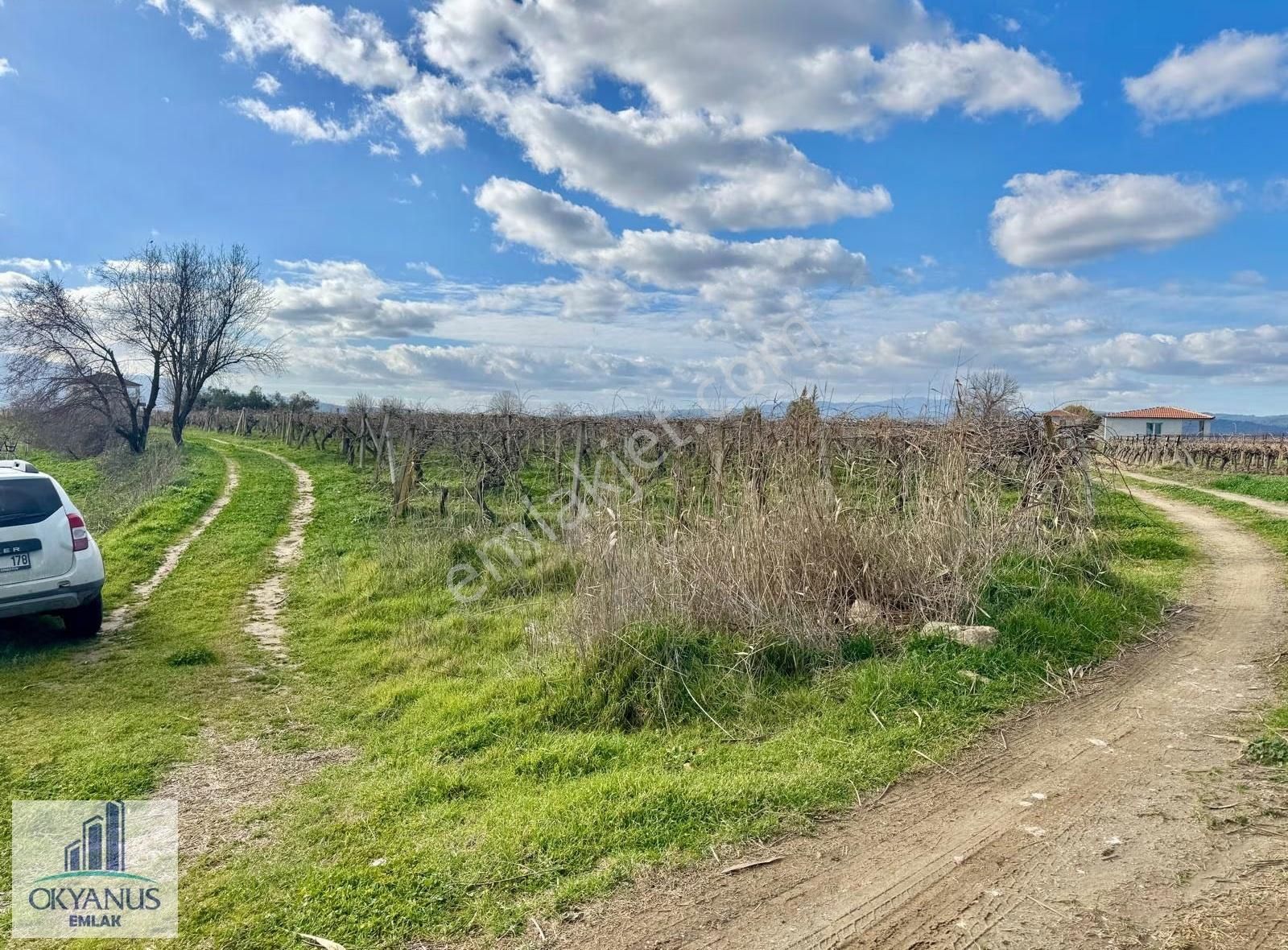 Üçpınarda 5.190 M2 Bağ , Resmi Yola 75 Mt Cepheli - Görsel 15