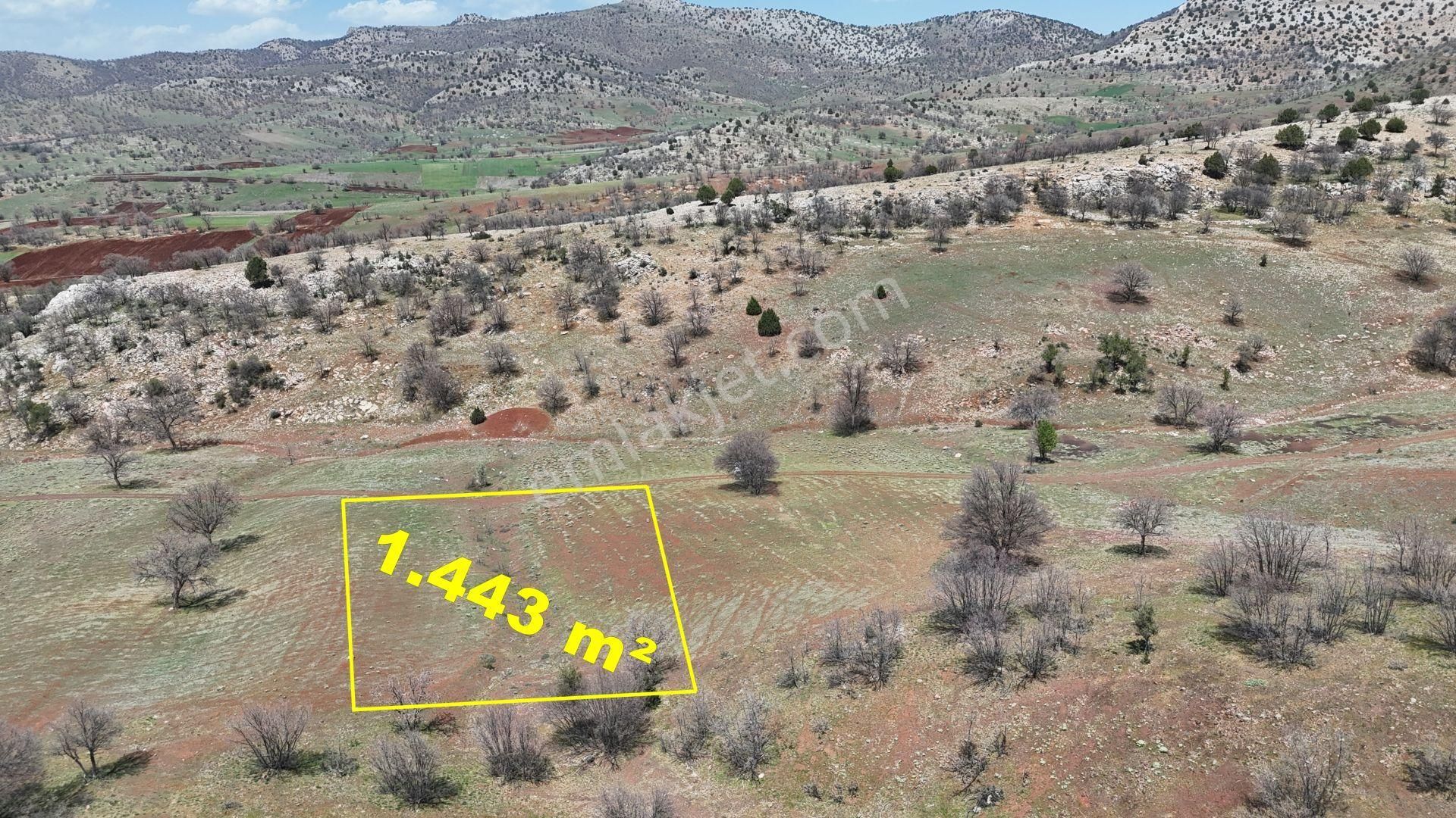 Konya / Güneysınır / Kızılöz Mahallesinde 1.443 M² Müstakil Tapulu Tarla - Görsel 7